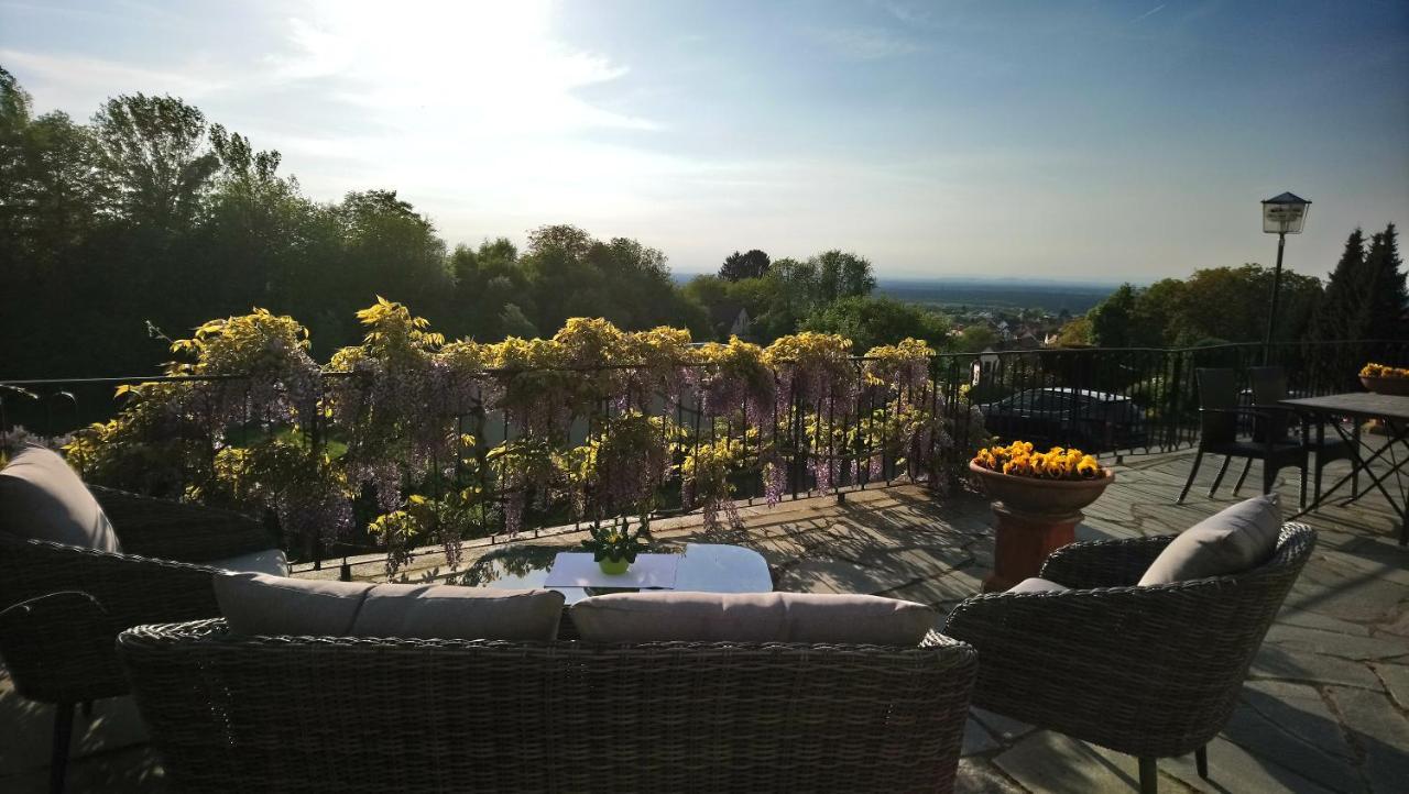 Kaefernberg - Weinhotel Alzenau in Unterfranken Buitenkant foto