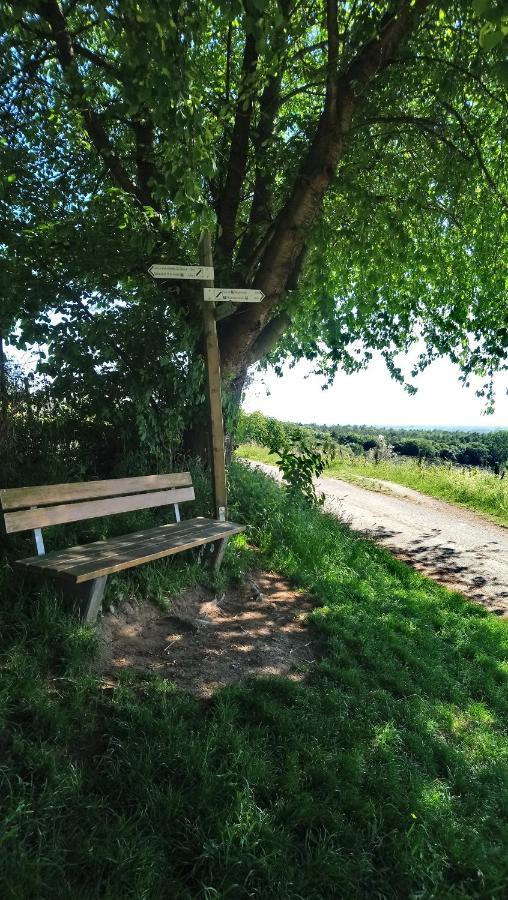 Kaefernberg - Weinhotel Alzenau in Unterfranken Buitenkant foto