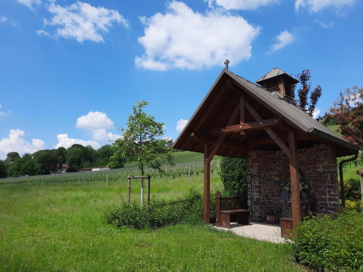 Kaefernberg - Weinhotel Alzenau in Unterfranken Buitenkant foto