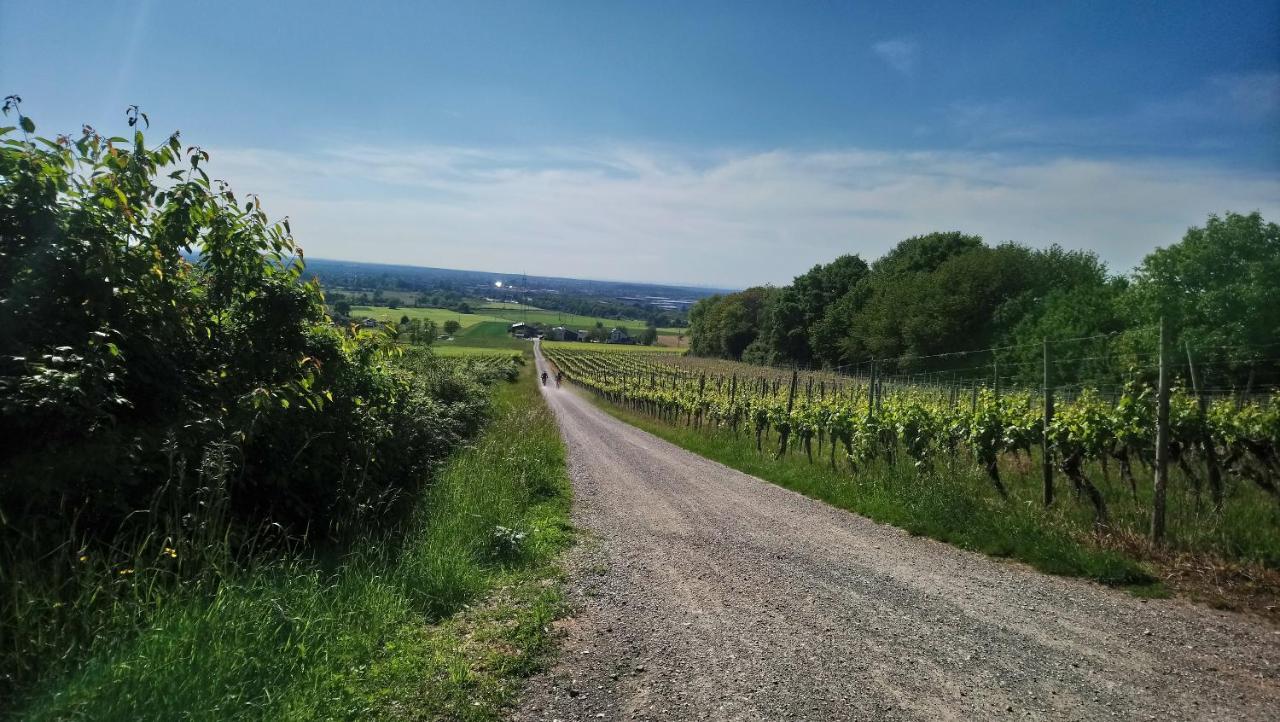 Kaefernberg - Weinhotel Alzenau in Unterfranken Buitenkant foto