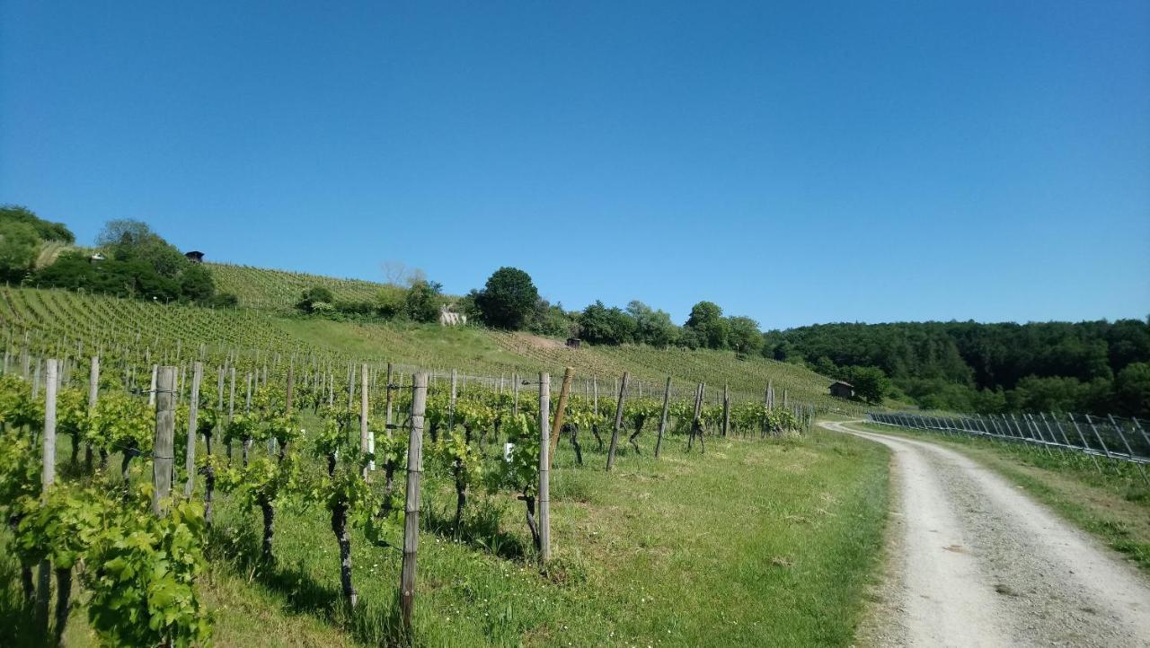 Kaefernberg - Weinhotel Alzenau in Unterfranken Buitenkant foto