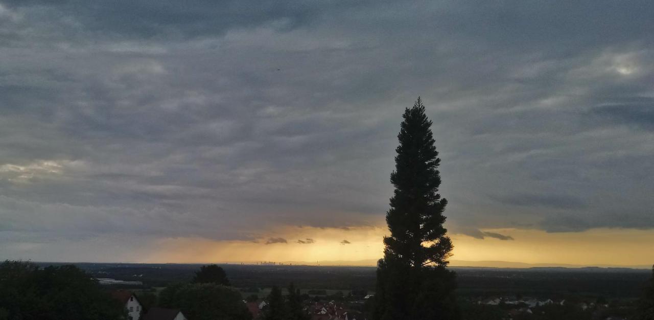 Kaefernberg - Weinhotel Alzenau in Unterfranken Buitenkant foto